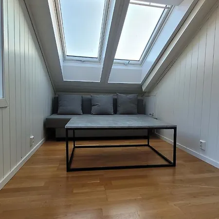 Charming Attic With A Private Entrance 아파트 베르겐